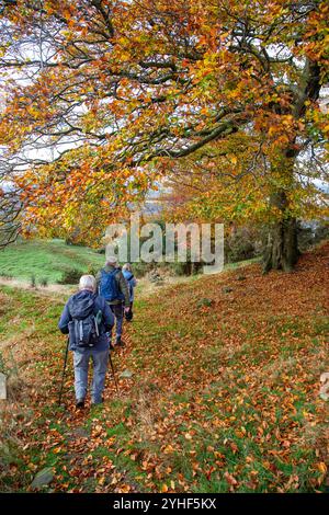 Eine Gruppe älterer, pensionierter U3A-Walking-Gruppen, die im Herbst durch die Landschaft von Cheshire in der Nähe von Bollington spazieren gehen Stockfoto