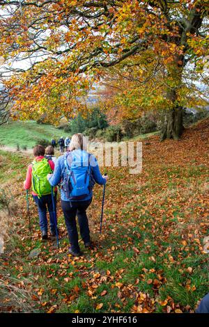 Eine Gruppe älterer, pensionierter U3A-Walking-Gruppen, die im Herbst durch die Landschaft von Cheshire in der Nähe von Bollington spazieren gehen Stockfoto