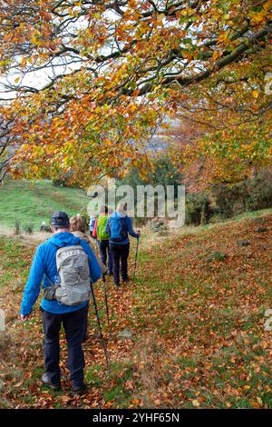 Eine Gruppe älterer, pensionierter U3A-Walking-Gruppen, die im Herbst durch die Landschaft von Cheshire in der Nähe von Bollington spazieren gehen Stockfoto