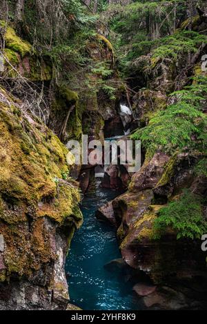 Avalanche Creek, Pfad der Zedern, Glacier Nationalpark, Montana, USA Stockfoto