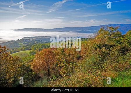 Herbstlandschaft im Casentino-Tal, im Hintergrund steht der Turm der Poppi-Burg im Nebel, Toskana, Italien Stockfoto