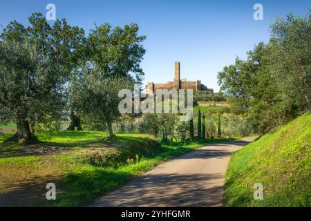 Schloss Montecchio Vesponi im Hintergrund einer Landstraße zwischen Olivenbäumen. Montecchio, Castiglion Fiorentino, Provinz Arezzo, toskanische Region Stockfoto