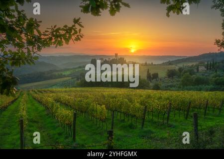 Weinberge bei Sonnenuntergang und die Abtei von Badia a Passignano im Chianti-Gebiet im Herbst. Barberino Tavarnelle, Provinz Florenz, toskanische Region, Italien Stockfoto