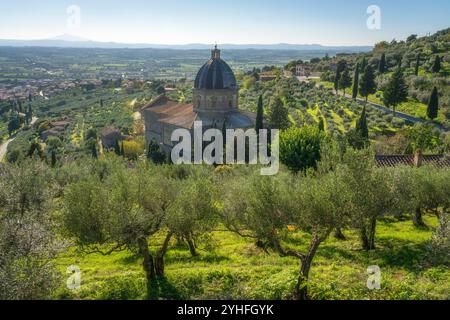 Kirche Santa Maria delle Grazie al Calcinaio in Cortona und Olivenbäume. Panoramablick auf Val di Chiana. Provinz Arezzo, Region Toskana, Italien, E Stockfoto