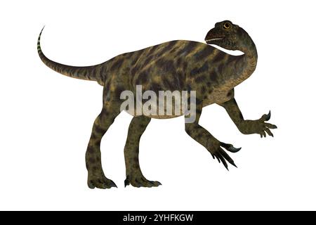 Anchisaurus war ein Allesfresser prosauropod Dinosaurier, der in der Jurassic Perioden von Nordamerika, Europa und Afrika lebte. Stockfoto