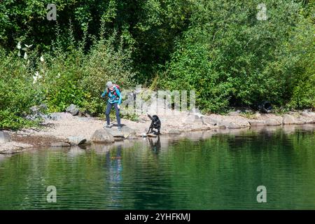 Ein erwachsenes Weibchen wirft einen Stock für ihr schwarzes Labor, um ihn in den Cold Water Lake zu holen. Bundesstaat Washington. USA. Stockfoto