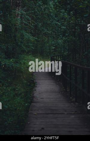 Eine hölzerne Promenade schlängelt sich durch einen üppigen, schattigen Wald, umgeben von Grün und schafft einen ruhigen, friedlichen Weg durch dichte Vegetation in einer na Stockfoto