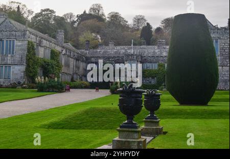 Lanhydrock 111124 Stockfoto