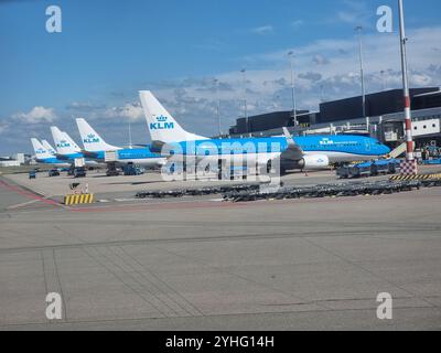 Reihe von weiß-blauen KLM-Flugzeugen am Flughafen Schiphol Amsterdam, Niederlande; Royal Dutch Airlines Stockfoto