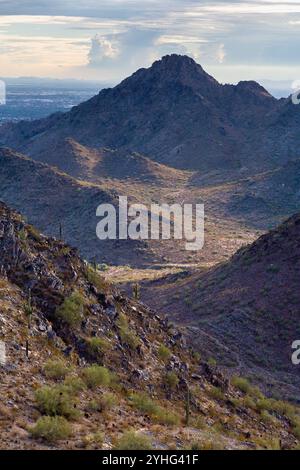 Der Piestawa Peak erhebt sich hoch über der umliegenden Landschaft jenseits des Two Bit Peak Trail. Phoenix Mountains Preserve, Arizona Stockfoto