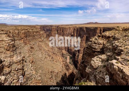 Die Little Colorado River Gorge grenzt an den Grand Canyon National Park in Arizona. Stockfoto