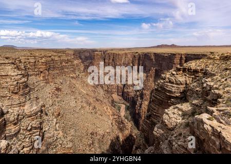 Die Little Colorado River Gorge grenzt an den Grand Canyon National Park in Arizona. Stockfoto