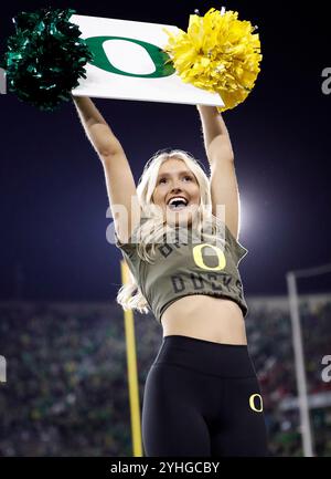 Autzen Stadium, Eugene, OR, USA. November 2024. Ein Cheerleader der Oregon Ducks bringt die Fans während des NCAA-Fußballspiels zwischen den Maryland Terrapins und den Oregon Ducks im Autzen Stadium, Eugene, OR, auf die Beine. Larry C. Lawson/CSM/Alamy Live News Stockfoto