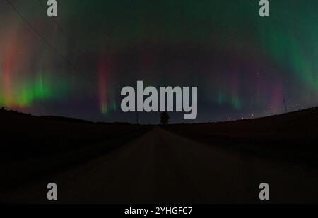 Die lebendige aurora Borealis erleuchtet den Nachthimmel über einer ruhigen Landstraße, und ein einsamer Baum trägt zur friedlichen, außerirdischen Szene bei. Stockfoto