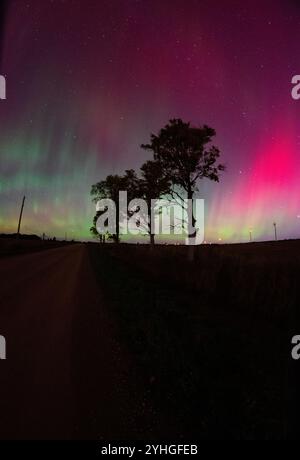 Vier Bäume säumen eine ruhige Straße unter der lebhaften aurora Borealis und schaffen eine atemberaubende und friedliche Szene mit den Nordlichtern, die den beleuchten Stockfoto