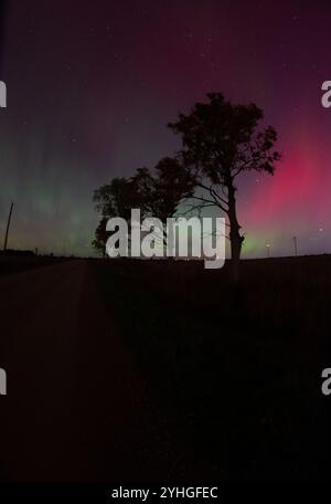 Vier Bäume säumen eine ruhige Straße unter der lebhaften aurora Borealis und schaffen eine atemberaubende und friedliche Szene mit den Nordlichtern, die den beleuchten Stockfoto