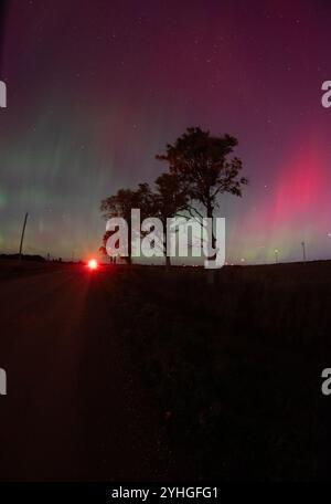 Vier Bäume säumen eine ruhige Straße unter der lebhaften aurora Borealis und schaffen eine atemberaubende und friedliche Szene mit den Nordlichtern, die den beleuchten Stockfoto