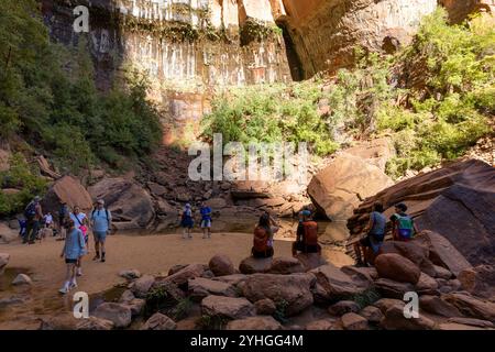 Der Zion National Park bietet Besuchern und Wanderern unglaubliche Ausblicke auf die Klippen und Wanderungen, einschließlich der Narrows Pools und der Emerald Pools Stockfoto