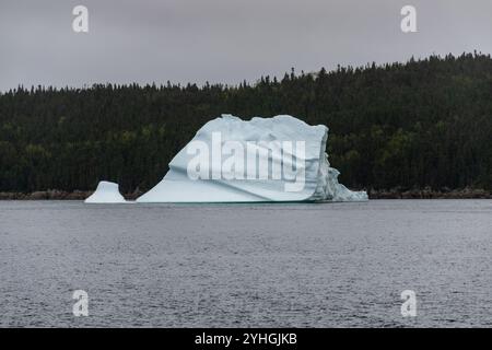 Eine ruhige Szene eines Eisbergs, der im Wasser driftet, mit Bäumen im Hintergrund, die die ruhige, majestätische Schönheit einer gefrorenen Wildnis einfangen. Stockfoto