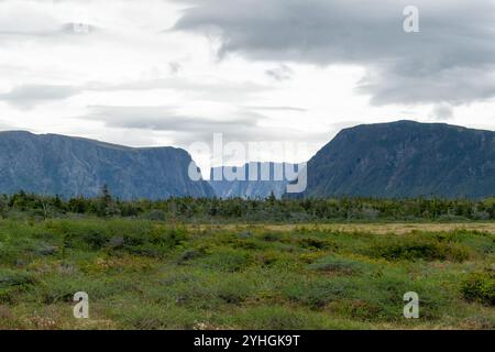 Ein weites Panorama auf den Fjord des Gros Morne Park mit seinen hohen Klippen und dem ruhigen Wasser dieses unberührten Naturwunders Kanadas Stockfoto