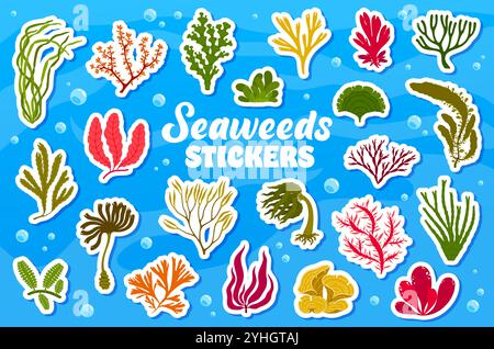 Unterwasser-Algen-Aufkleber-Pack. Vektor-Patches Set von lebendigen Unterwasserpflanzen. Ozean und Meeresvegetation. Verspielte, aquatische Klebeaufkleber für Scrapbooking oder kreative Dekoration für Kinder-Hobbys Stock Vektor