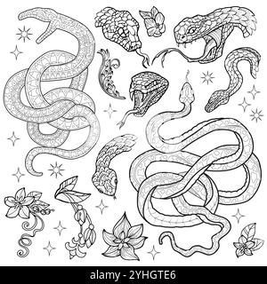 Handgezeichnetes Design Set mit Schlange - Symbol des Jahres nach östlichem Horoskop und Blumen. Strichgrafik Vektor-Illustrationen. Kritzeln Sie Kunstwerke mit Stock Vektor