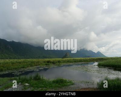 Wolken und Nebel bedecken Kalksteinberge in der Regenzeit, Sumpffelder und Schilffelder im Feuchtgebiet des Khao Sam ROI Yot National Park, Thailand Stockfoto