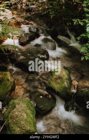 Ein malerischer Blick auf den Waldbach, der sanft über moosige Felsen fließt, umgeben von grünem Laub. Die ruhige und natürliche Atmosphäre verkörpert Entspannung. Stockfoto