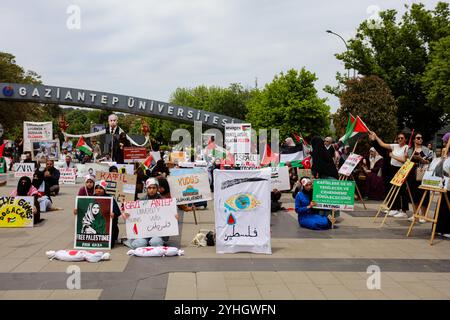 Gaziantep, Turkiye. Mai 2024. Universitätsstudenten in Gaziantep halten eine Solidaritätsdemonstration mit Palästinensern in Gaza ab und verurteilen gleichzeitig die laufende israelische Militäroffensive in der Küstenenklave. Die Teilnehmer schwenkten die palästinensische Flagge, warfen Banner, die westliche Unternehmen, die Israel unterstützen, verurteilten, und zeigten auch Unterstützung für pro-palästinensische Demonstranten auf College-Campus in den Vereinigten Staaten. Umhüllte Babymodelle wurden mit Blumen auf den Boden gelegt, um die große Zahl der in Gaza getöteten Kinder zu betrauern Stockfoto
