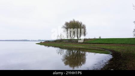 Eine Baumgruppe am Ufer des Wasserparks Rutland, England, an einem langweiligen Spätherbsttag. Stockfoto