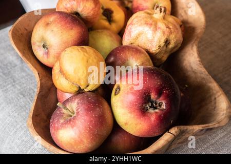 Bio-Äpfel und Granatapfel in Holzschale auf grauem Hintergrund. Herbsternte. Stockfoto