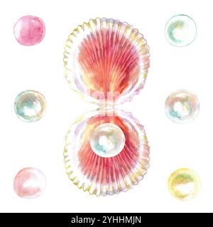 Muster von Jakobsmuscheln, Muscheln, geriffelte Muscheln mit Perlen in Aquarellfarbe. Rote Jakobsmuschel, Calico Jakobsmuschel, Argopecten Gibbus. Die Seite dieser Hülle Stockfoto