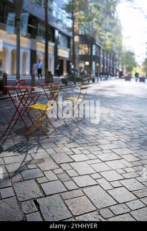 Marunouchi Naka-dori Avenue am späten Herbstnachmittag Stockfoto