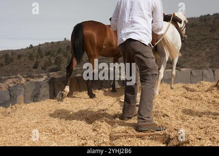 Der Bauer, der Weizen zerquetscht und den Weizen von der Spreu trennt, gezogen von Pferden Stockfoto