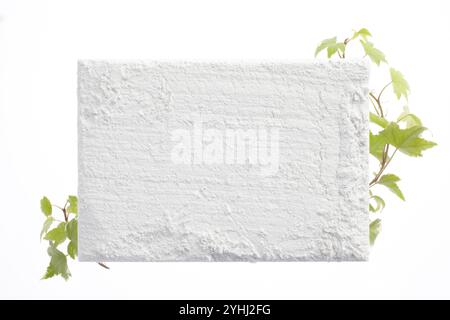 Raues Whiteboard und Ivy in horizontaler Position Stockfoto