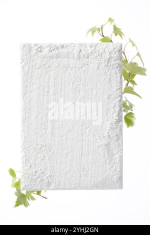 Raues Whiteboard und Ivy in horizontaler Position Stockfoto