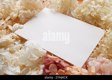 Getrocknete Hortensie Blumen und weiße Karte Stockfoto