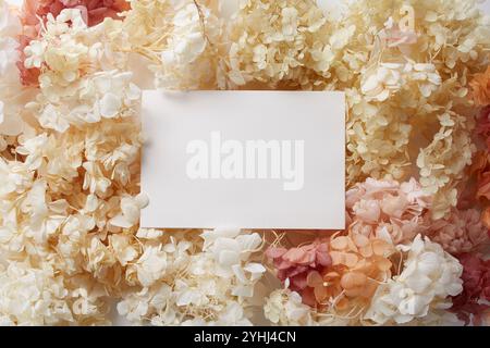 Getrocknete Hortensie Blumen und weiße Karte Stockfoto