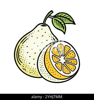 Einfache Vektor-Illustration eines Pomelo, in einem einfachen und sauberen Stil, geeignet für Lebensmittel und Gesundheit Themen. Flache Illustration der Früchte. Stock Vektor