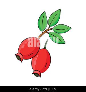 Einfache Vektor-Illustration einer Hagebutte, in einem einfachen und sauberen Stil, geeignet für Lebensmittel und Gesundheit Themen. Flache Illustration der Früchte. Stock Vektor