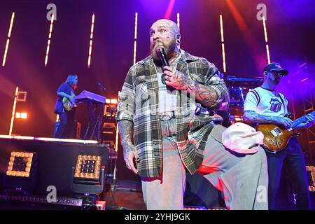 UK. November 2024. LONDON, ENGLAND - 11. NOVEMBER: Teddy schwimmt am 11. November 2024 in London, England. CAP/MAR © MAR/Capital Pictures Credit: Capital Pictures/Alamy Live News Stockfoto