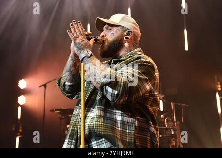 UK. November 2024. LONDON, ENGLAND - 11. NOVEMBER: Teddy schwimmt am 11. November 2024 in London, England. CAP/MAR © MAR/Capital Pictures Credit: Capital Pictures/Alamy Live News Stockfoto