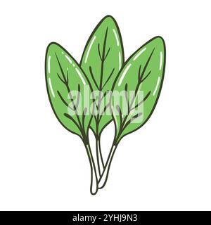Einfache Vektor-Illustration eines Sauerampfer, in einem einfachen und sauberen Stil, geeignet für Lebensmittel und Gesundheit Themen. Flache Illustration der Früchte. Stock Vektor
