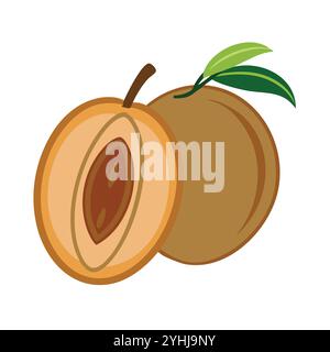Einfache Vektor-Illustration einer Sapodilla, in einem einfachen und sauberen Stil, geeignet für Lebensmittel und Gesundheit Themen. Flache Illustration der Früchte. Stock Vektor