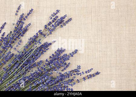 Trockene Lavendelblüten auf einem Leinenstoff Hintergrund Stockfoto