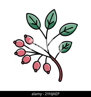 Einfache Vektor-Illustration einer Servicebeere, in einem einfachen und sauberen Stil, geeignet für Lebensmittel und Gesundheit Themen. Flache Illustration der Früchte. Stock Vektor