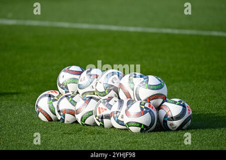 Hessen, Frankfurt/Main, Deutschland. 12. November 2024, Hessen, Frankfurt/Main: Fußball: Nationalmannschaft, vor den Spielen der Völkerliga gegen Bosnien-Herzegowina (16.11.2024) und in Ungarn (19.11.2024), DFB-Campus. Fußbälle mit den Worten „Nations League“ auf dem Spielfeld. Quelle: dpa Picture Alliance/Alamy Live News Stockfoto