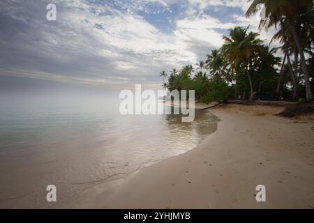 Hohe Palmen schwanken sanft über einen Sandstrand, mit einem ruhigen Meer, das sich bis zum Horizont unter einem teilweise bewölkten Himmel erstreckt. Die Szene ist friedlich. Stockfoto