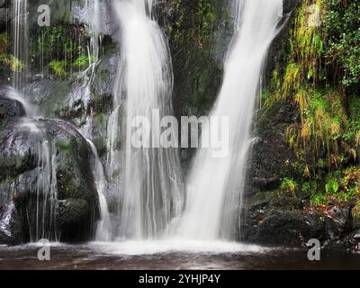 Posforth Gill Wasserfall in Posforth Gill bei Bolton Abbey North Yorkshire England Stockfoto