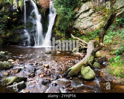 Posforth Gill Wasserfall in Posforth Gill bei Bolton Abbey North Yorkshire England Stockfoto